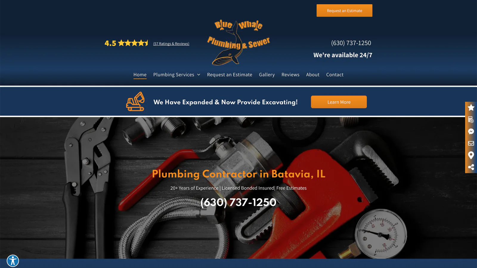 Original Blue Whale Plumbing & Sewer website before the redesign